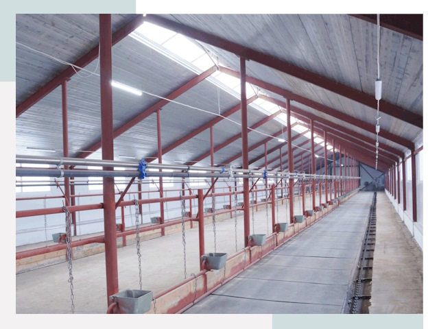 Строительство коровников в Дивногорске от 607 руб.