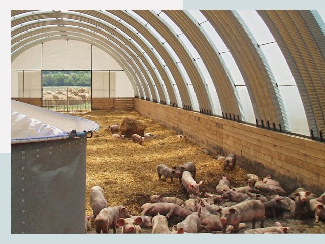 Строительство свинарников в Дивногорске