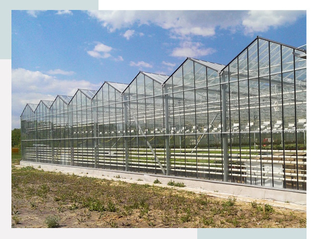 Строительство теплиц в Дивногорск от 607 руб. за м²