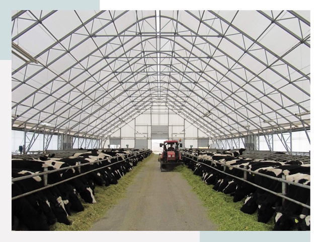 Тентовые коровники в Дивногорске от 607 руб. - Надежно и доступно